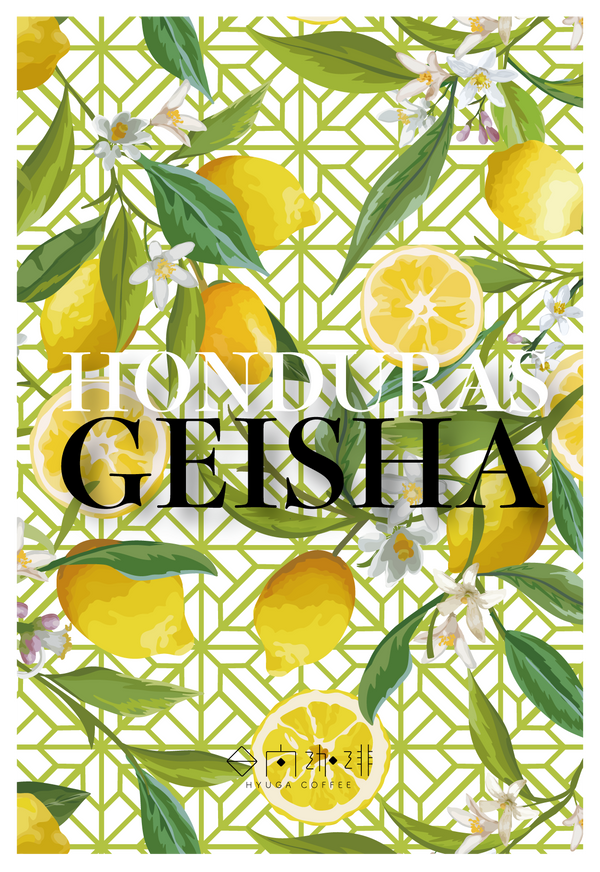 【浅煎り】ホンジュラス フアン・カルロス ゲイシャ ウォッシュド / Honduras Juan Carlos Juárez Geisha washed（100g）