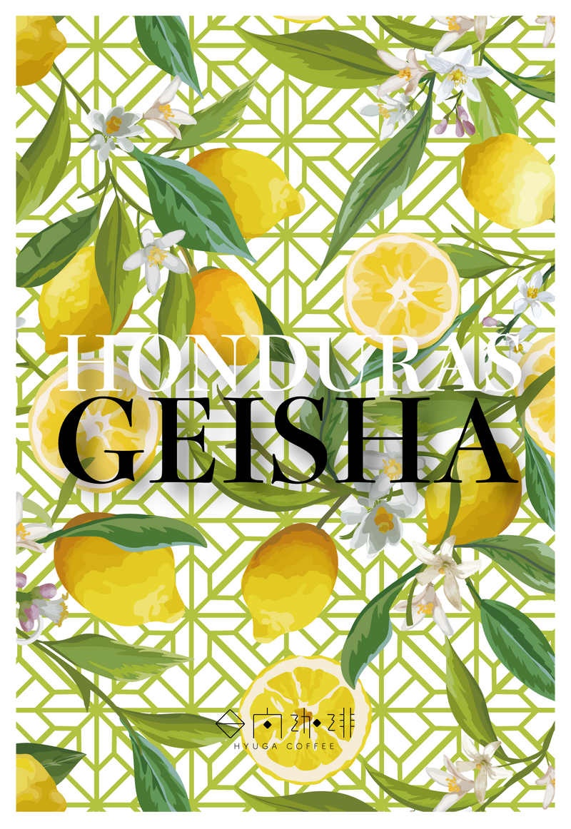 【浅煎り】ホンジュラス フアン・カルロス ゲイシャ ウォッシュド / Honduras Juan Carlos Juárez Geisha washed（100g）