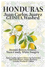 【浅煎り】ホンジュラス フアン・カルロス ゲイシャ ウォッシュド / Honduras Juan Carlos Juárez Geisha washed（100g）