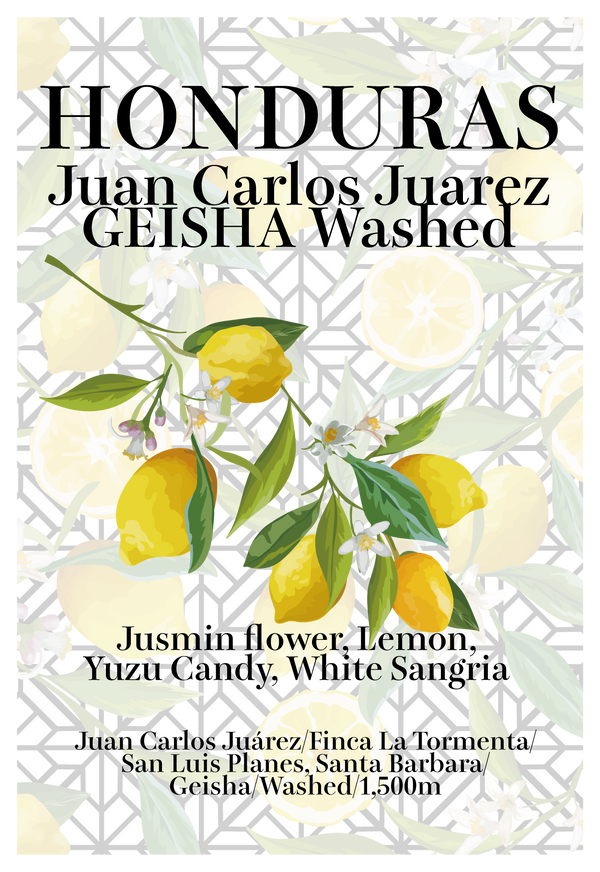 【浅煎り】ホンジュラス フアン・カルロス ゲイシャ ウォッシュド / Honduras Juan Carlos Juárez Geisha washed（100g）