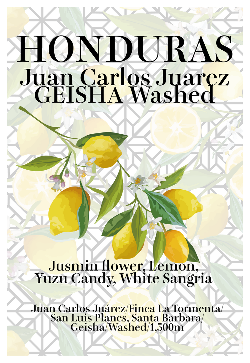 【浅煎り】ホンジュラス フアン・カルロス ゲイシャ ウォッシュド / Honduras Juan Carlos Juárez Geisha washed（100g）