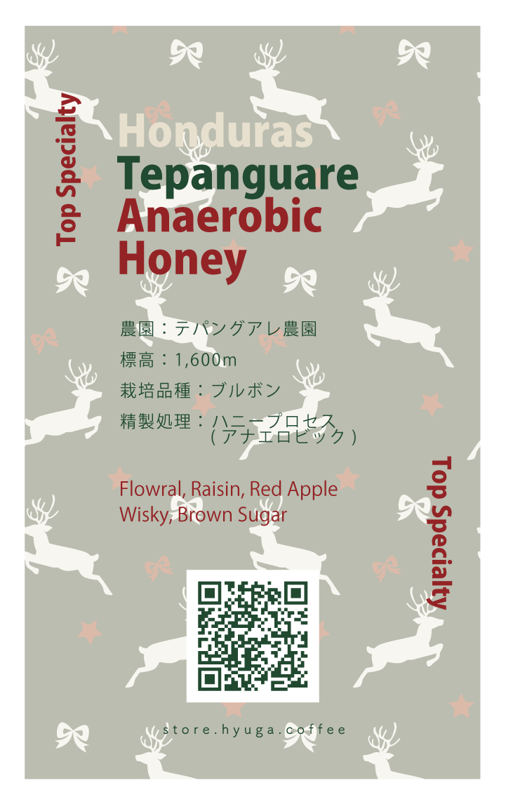 【浅煎り】ホンジュラス　テパングアレ　アナエロビックハニー / Honduras Tepanguare Anaerobic Honey（100g）