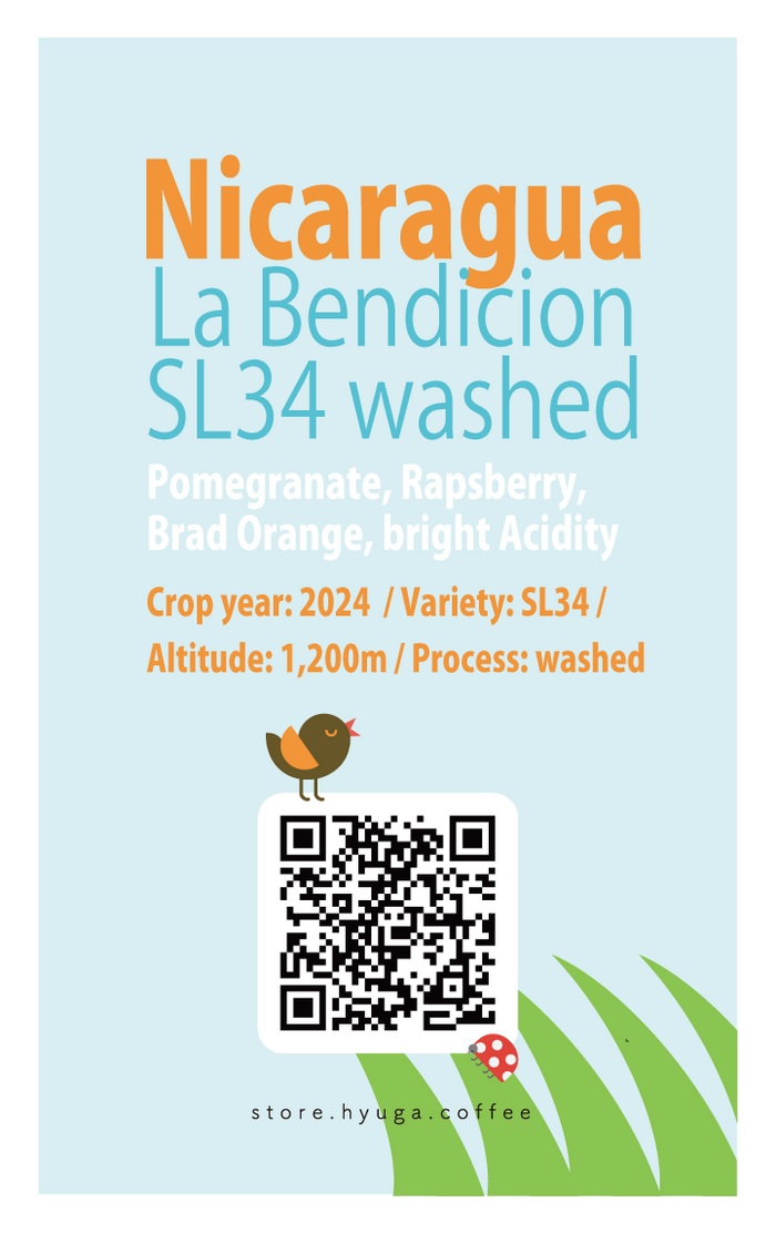ニカラグア ラベンディシオン SL34 ウォッシュド / Nicaragua La