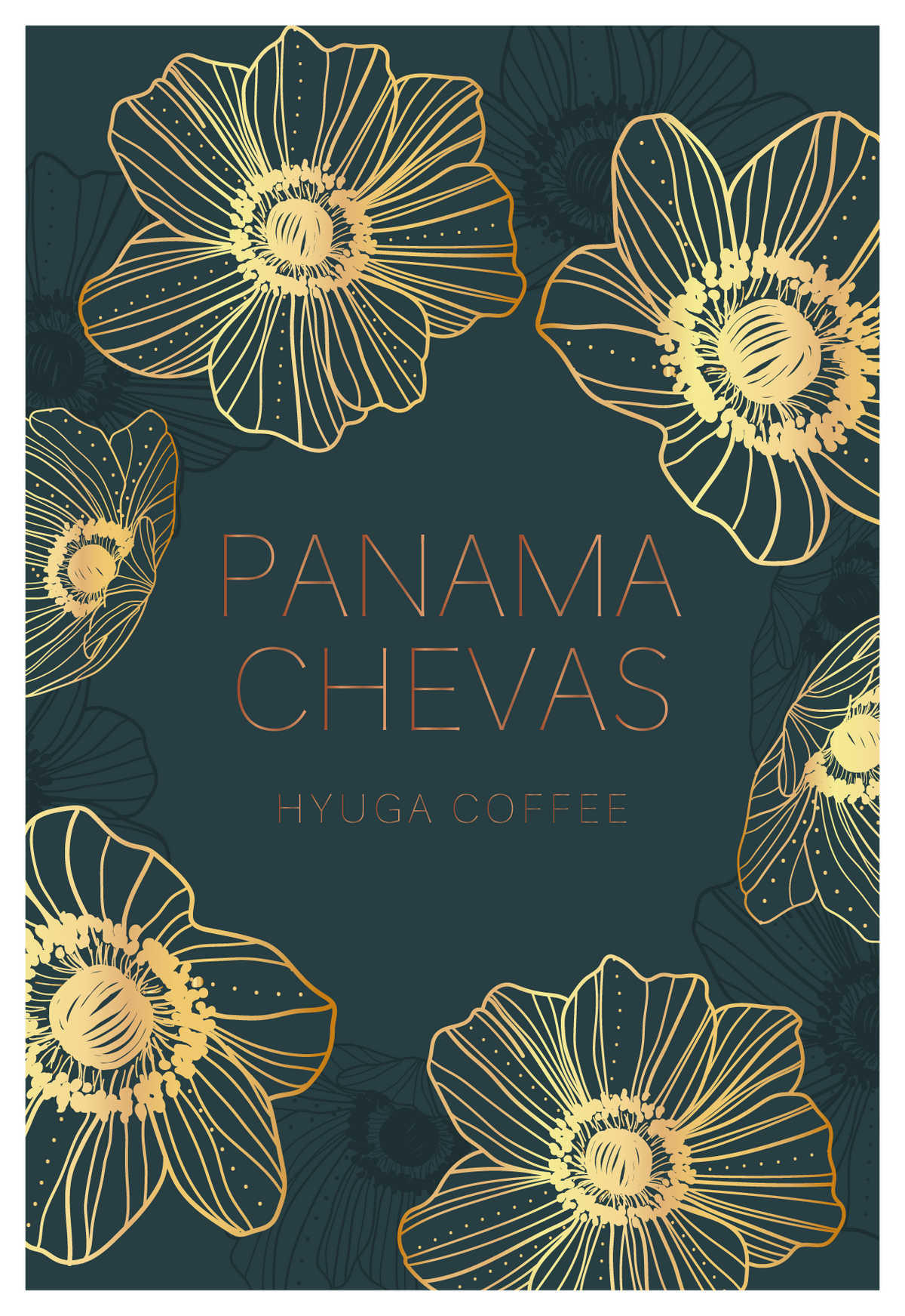 浅煎り】パナマ チェバス ティピカ ナチュラル / Panama Chevas Typica