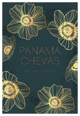 【浅煎り】パナマ チェバス ティピカ ナチュラル /   Panama Chevas Typica Natural