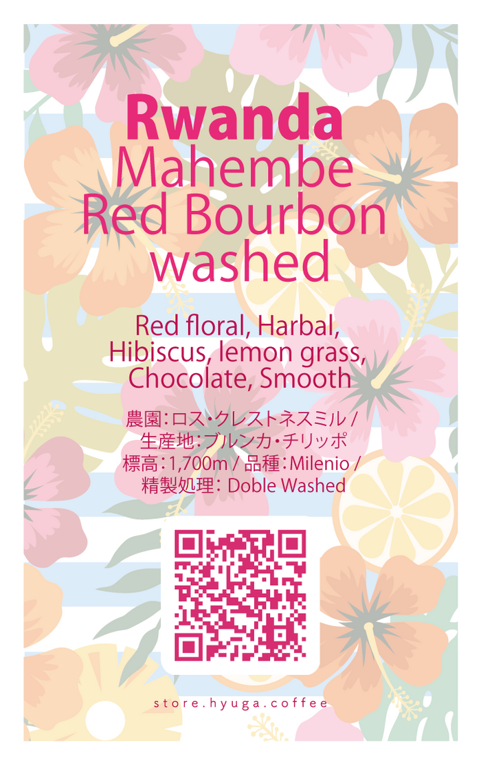 浅煎り】ルワンダ マヘンベ レッドブルボン ウォッシュド / Rwanda