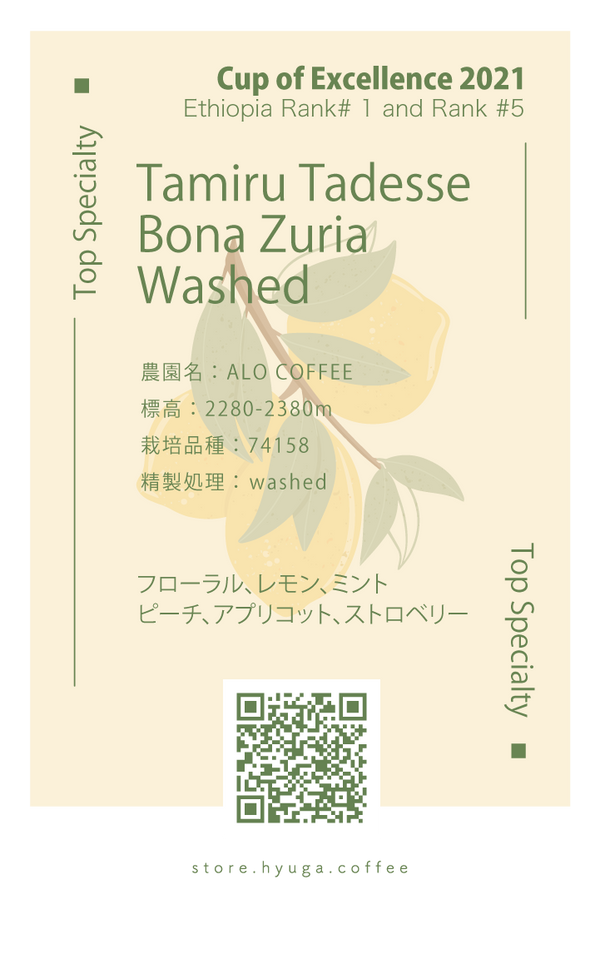 【浅煎り】エチオピア　タミル・タデッセ・ボナ・ズリア / Tamiru Tadesse Bona Zuria Washed（100g）