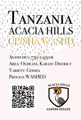【浅煎り】タンザニア アカシアヒルズ ゲイシャ ウォッシュド / Tanzania Acacia Hills Geisha Fully Washed