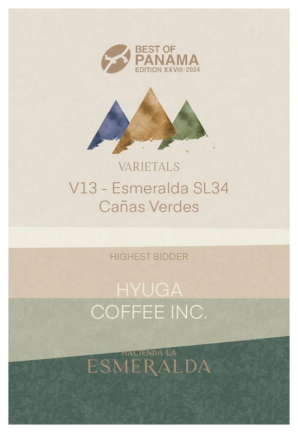 Best of Panama 2024 V-13 / ESMERALDA CAÑAS VERDES SL-34 NATURAL