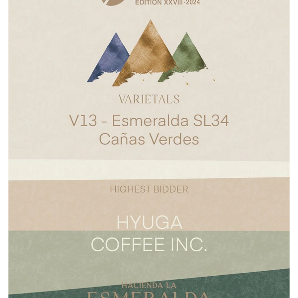 Best of Panama 2024 V-13 / ESMERALDA CAÑAS VERDES SL-34 NATURAL Best of Panama 2024 V-13 / ESMERALDA CAÑAS VERDES SL-34 NATURAL