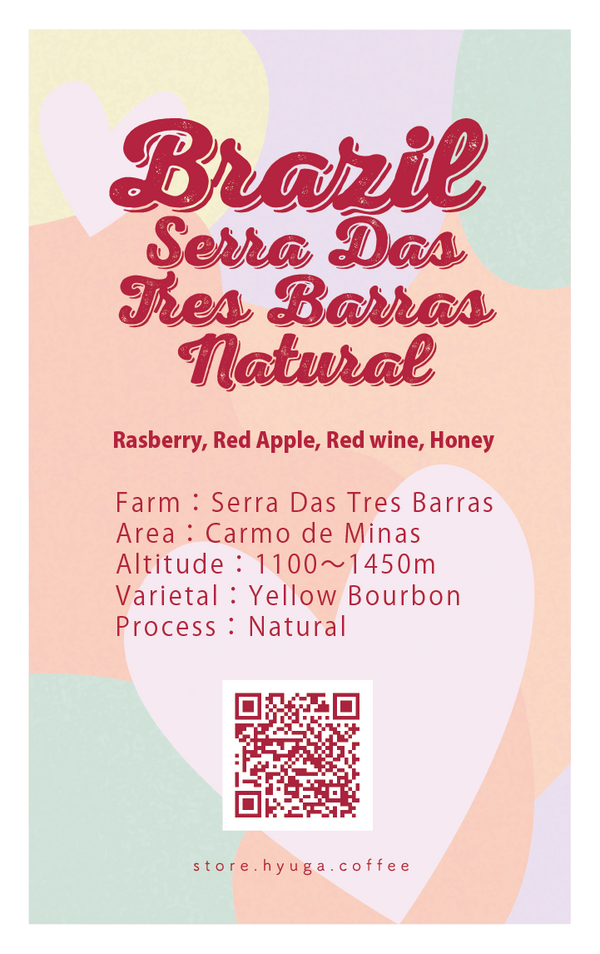 【中浅煎り】ブラジル　セーハ・ダス・トレス・バハス　ナチュラル / Brazil Serra Das Tres Barras Natural（100g）