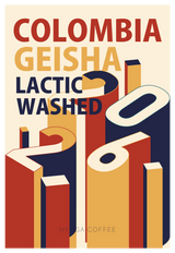 【浅煎り】コロンビア エル・パッセオ ゲイシャ ラクティック ウォッシュド/ Colombia El Paseo GEISHA LACTIC WASHED（100g）
