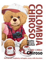 【浅煎り】コロンビア ピタリト チロソ ウォッシュド/  Colombia Pitalito Chiroso Washed (100g)