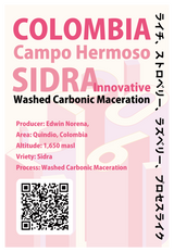 【浅煎り】コロンビア カンポ・エルモソ -シドラ ウォッシュド カーボニックマセレーション/ Colombia Campo Hermoso Sidra Washed Carbonic Maceration（100g）