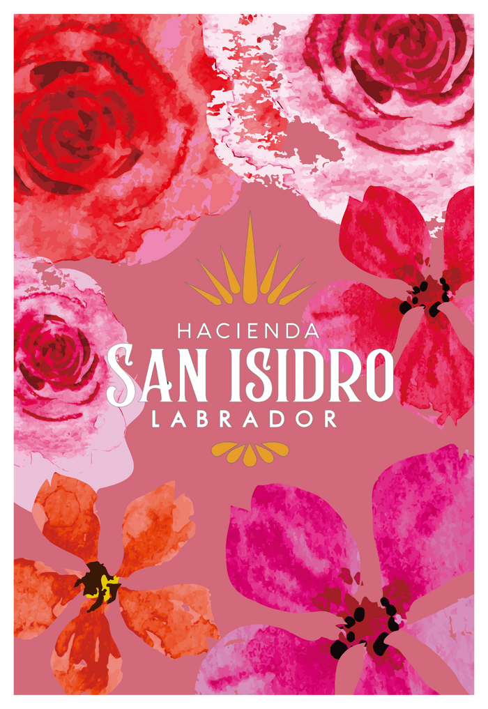 コスタリカ サン・イシドロ・ラブラドール ゲイシャ ウォッシュド  /  Costa Rica San Isidoro Labrador Geisha Washed（100g）