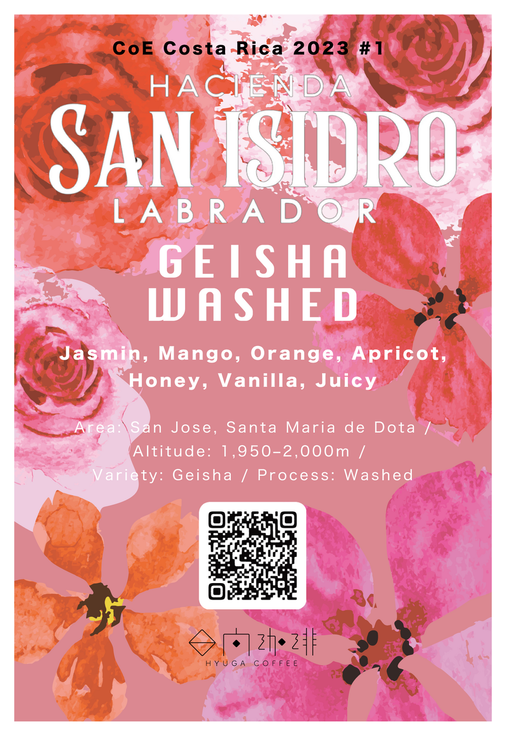 コスタリカ サン・イシドロ・ラブラドール ゲイシャ ウォッシュド  /  Costa Rica San Isidoro Labrador Geisha Washed（100g）