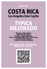 【浅煎り】コスタリカ　ロス・アンヘレス　ドン・カイート　ティピカメホラードYH /  Costa Rica Los Angeles Don Cayito Typica Mejorado Yellow Honey(100g)