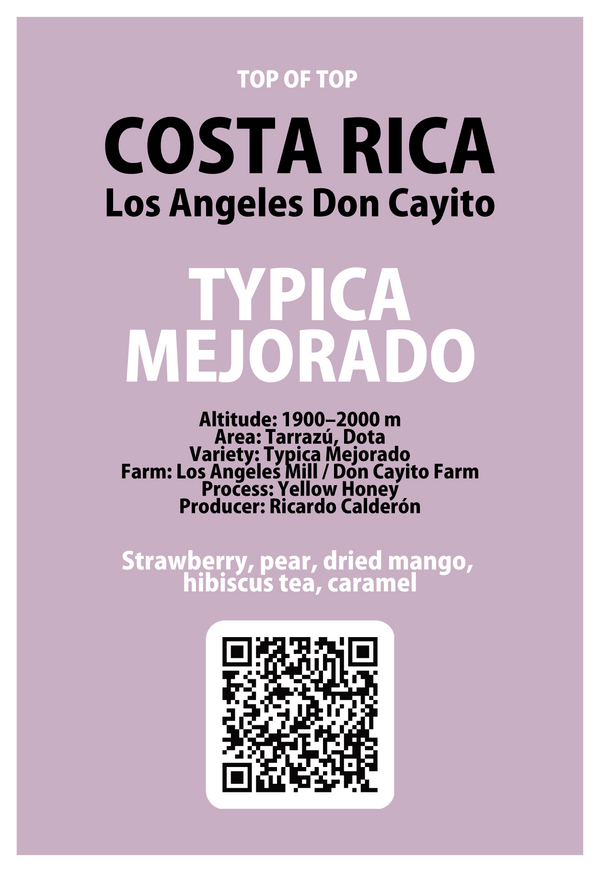 【浅煎り】コスタリカ　ロス・アンヘレス　ドン・カイート　ティピカメホラードYH /  Costa Rica Los Angeles Don Cayito Typica Mejorado Yellow Honey(100g)