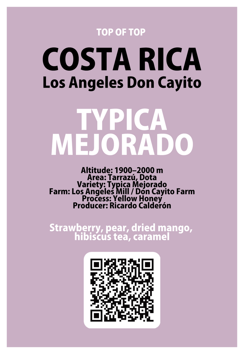 【浅煎り】コスタリカ　ロス・アンヘレス　ドン・カイート　ティピカメホラードYH /  Costa Rica Los Angeles Don Cayito Typica Mejorado Yellow Honey(100g)