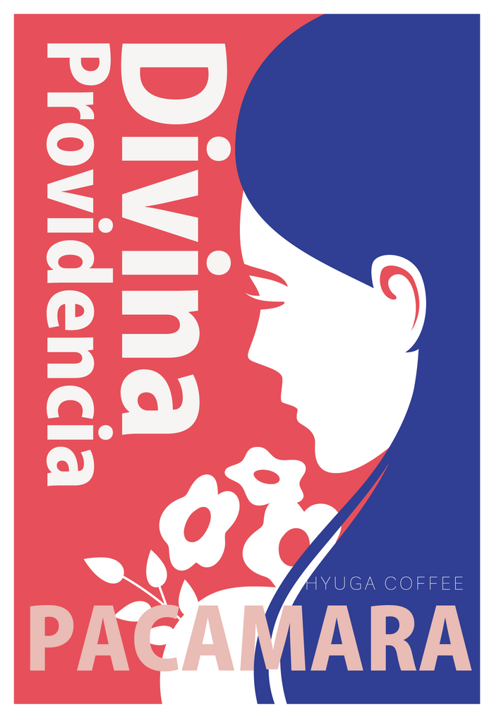 【浅煎り】エルサルバドル ディビナ・プロヴィデンシア パカマラ ウォッシュド  /  El Salvador Divina Providencia Pacamara Washed（100g）