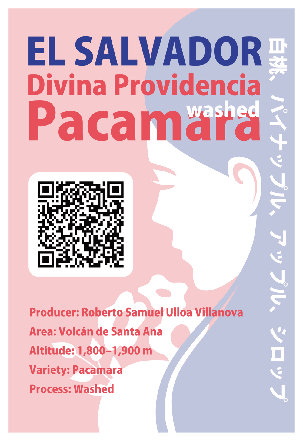 【浅煎り】エルサルバドル ディビナ・プロヴィデンシア パカマラ ウォッシュド  /  El Salvador Divina Providencia Pacamara Washed（100g）