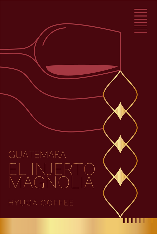【浅煎り】グアテマラ - エルインヘルト マグノリア ナチュラル / Guatemala - El Injerto Magnolia Natural（100g）