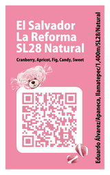 【浅煎り】エルサルバドル ラ・レフォルマ SL28 ナチュラル /  El Salvador La Reforma SL28 Natural (100g)