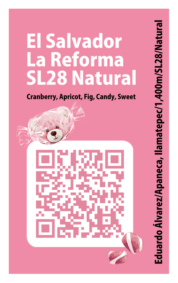 【浅煎り】エルサルバドル ラ・レフォルマ SL28 ナチュラル /  El Salvador La Reforma SL28 Natural (100g)