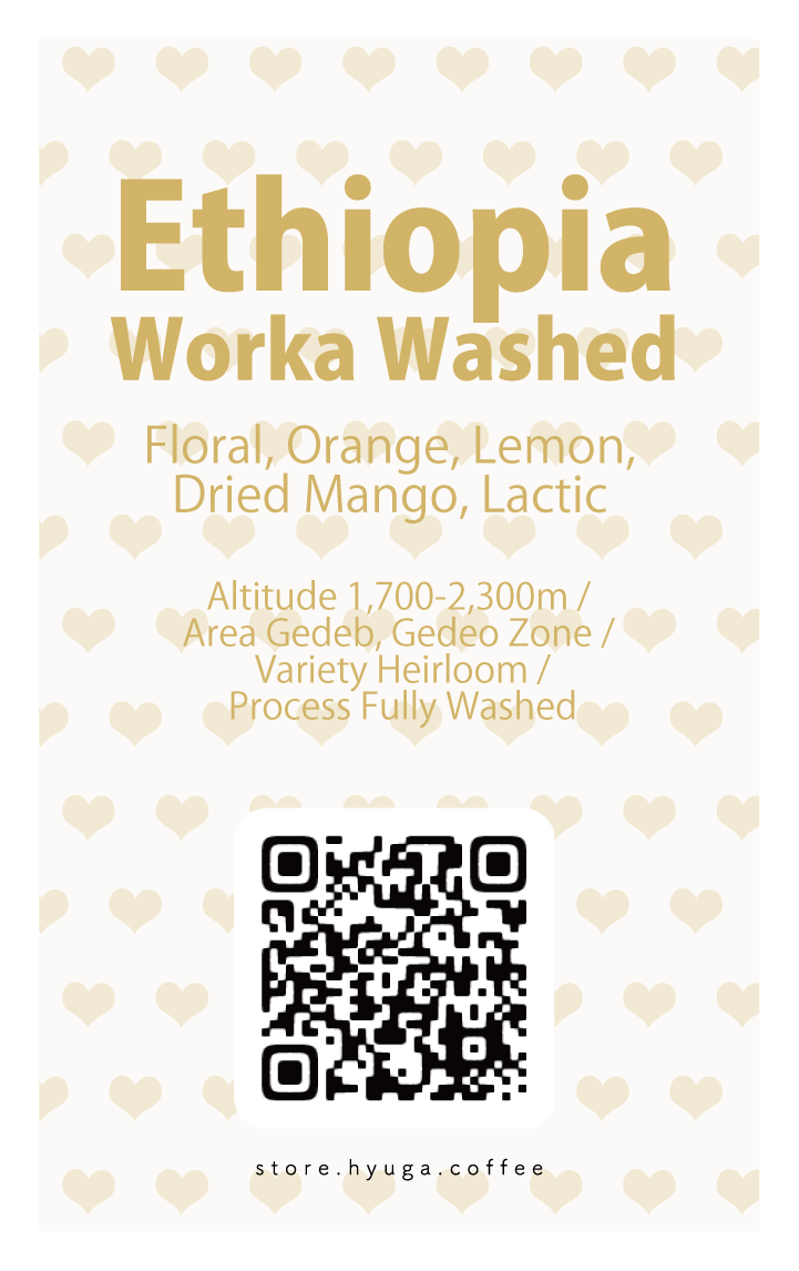 【浅煎り】エチオピア ウォルカ ウォッシュド  /  Ethiopia Worka Washed（100g）