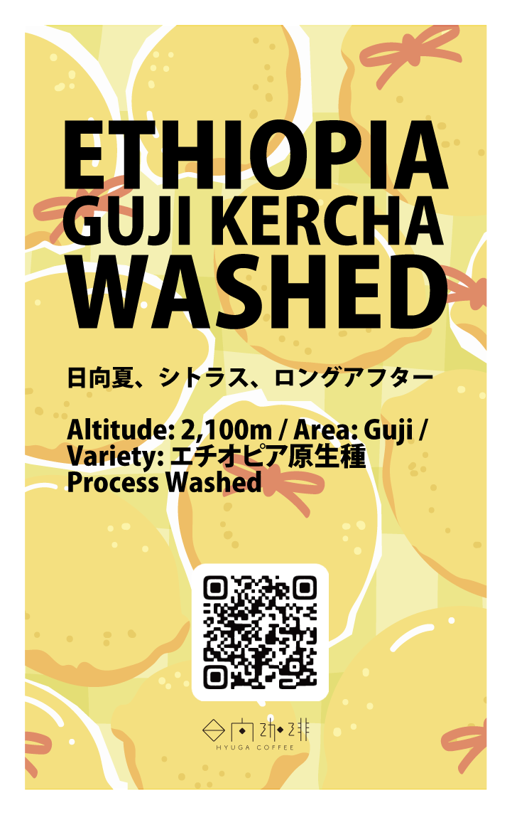 【浅煎り】エチオピア グジ・ケルチャ グラチェ ウォッシュド / Ethiopia GUJI KERCHA GURACHU washed (100g)