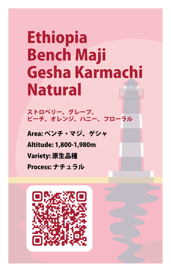 浅煎り】エチオピア ベンチ・マジ ゲシャ・カルマチ ナチュラル