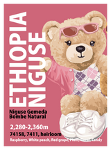 【浅煎り】エチオピア ニグセ・ゲメダ ボンベ ナチュラル/  Ethiopia Niguse Gemeda Bombe Natural (100g)