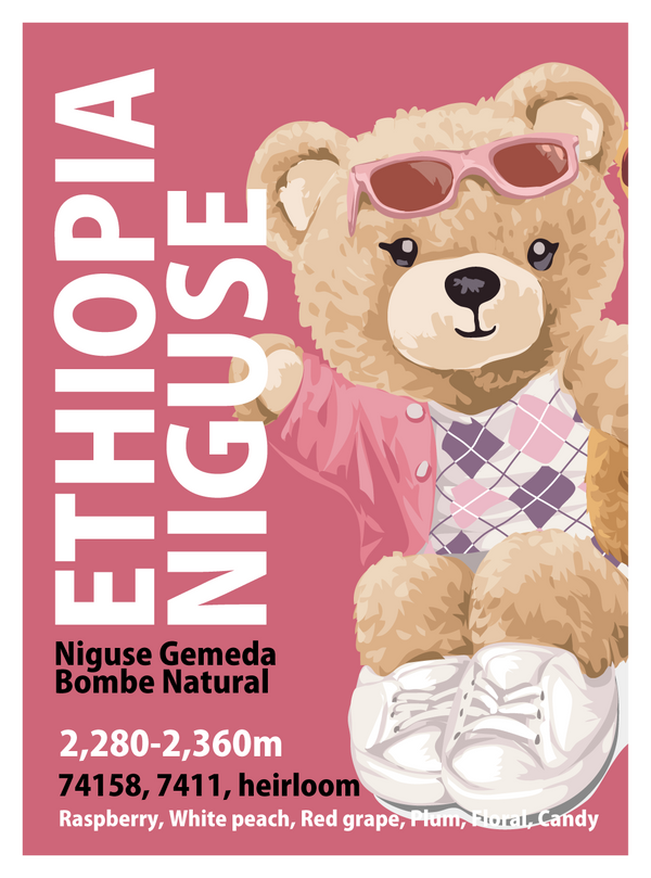 【浅煎り】エチオピア ニグセ・ゲメダ ボンベ ナチュラル/  Ethiopia Niguse Gemeda Bombe Natural (100g)