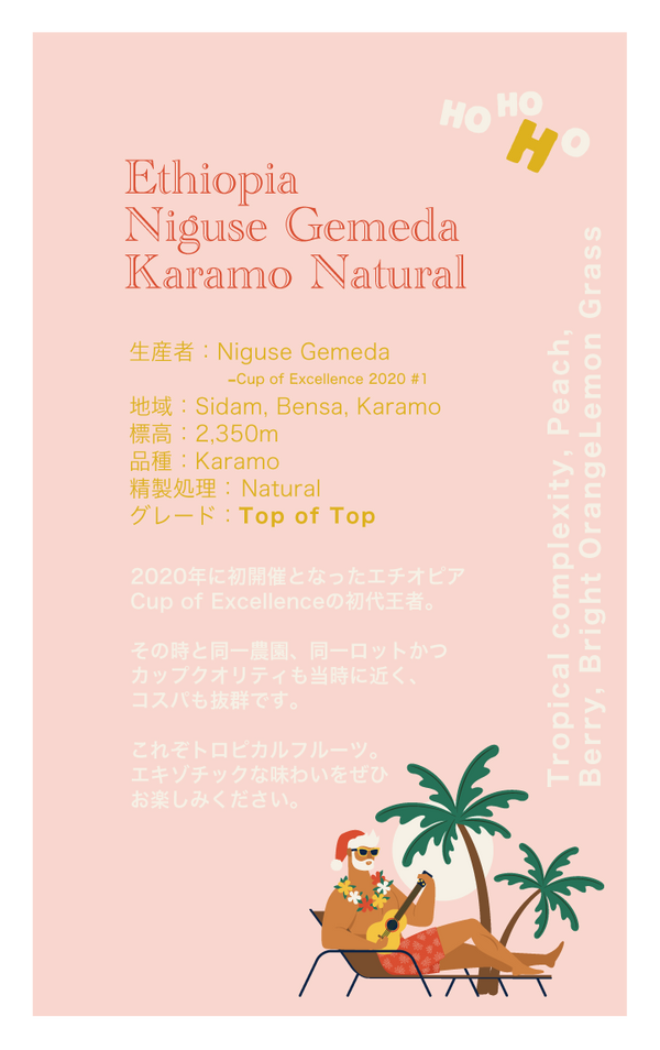 【浅煎り】エチオピア ニグセ・ゲメダ カラモ農園 ナチュラル / Ethiopia Niguse Gemeda Karamo Natural（100g）