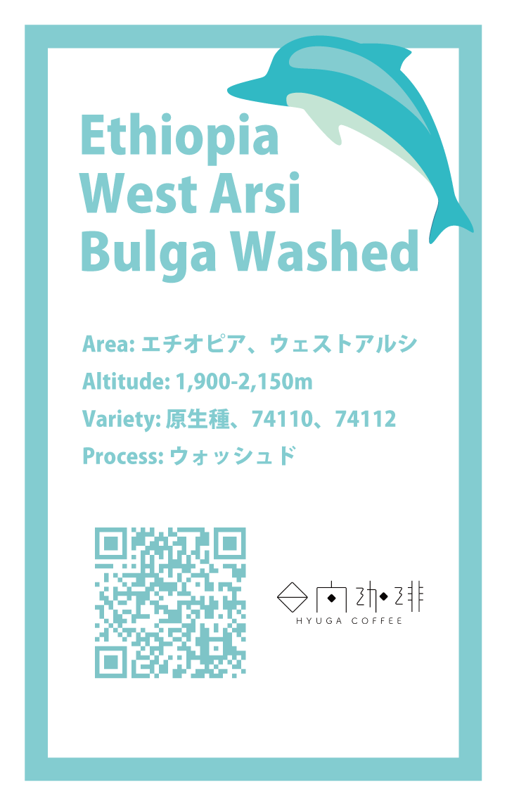 【浅煎り】エチオピア ウェストアルシ ブルガ ウォッシュド / Ethiopia West Arsi Bulga Washed