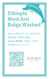 【浅煎り】エチオピア ウェストアルシ ブルガ ウォッシュド / Ethiopia West Arsi Bulga Washed