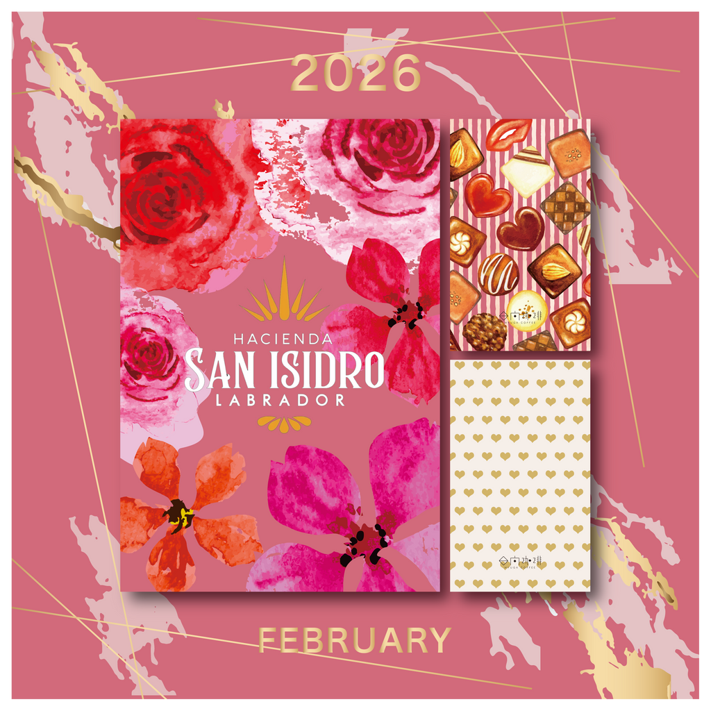 定期便】HYUGA COFFEE BOX（100g×3種類 / 送料無料）| サブスクリプ