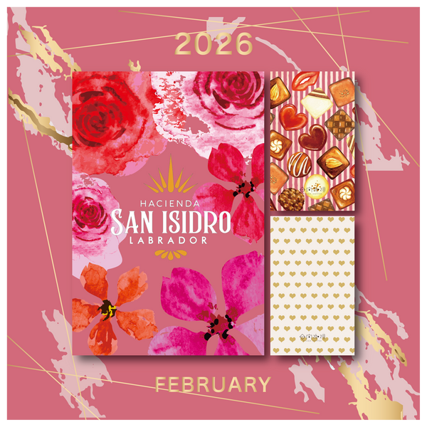 NEW! – 日向珈琲