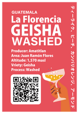 【浅煎り】グアテマラ フロレンシア ゲイシャ ウォッシュド / Guatemala - La Florencia Geisha washed（100g）