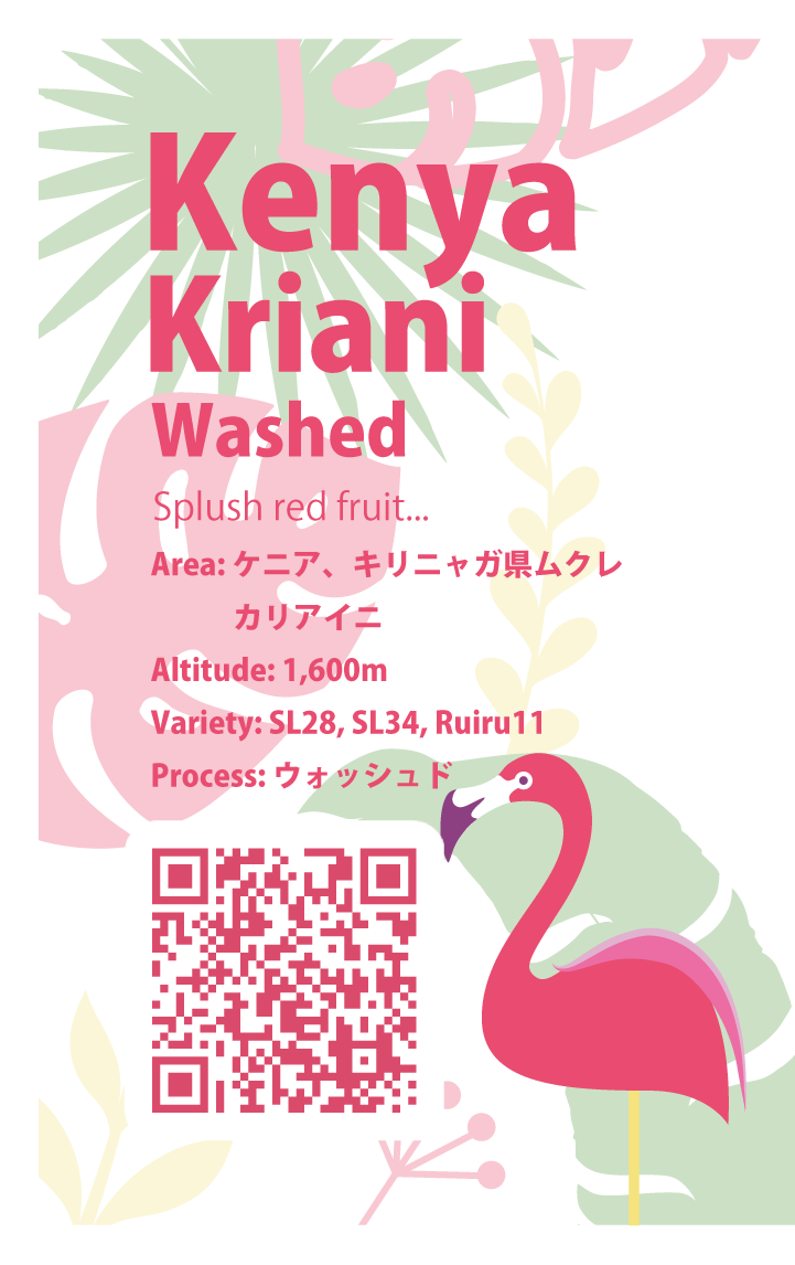 【浅煎り】ケニア カリアイニ ウォッシュド / Kenya Kriani washed(100g)