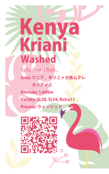 【浅煎り】ケニア カリアイニ ウォッシュド / Kenya Kriani washed(100g)