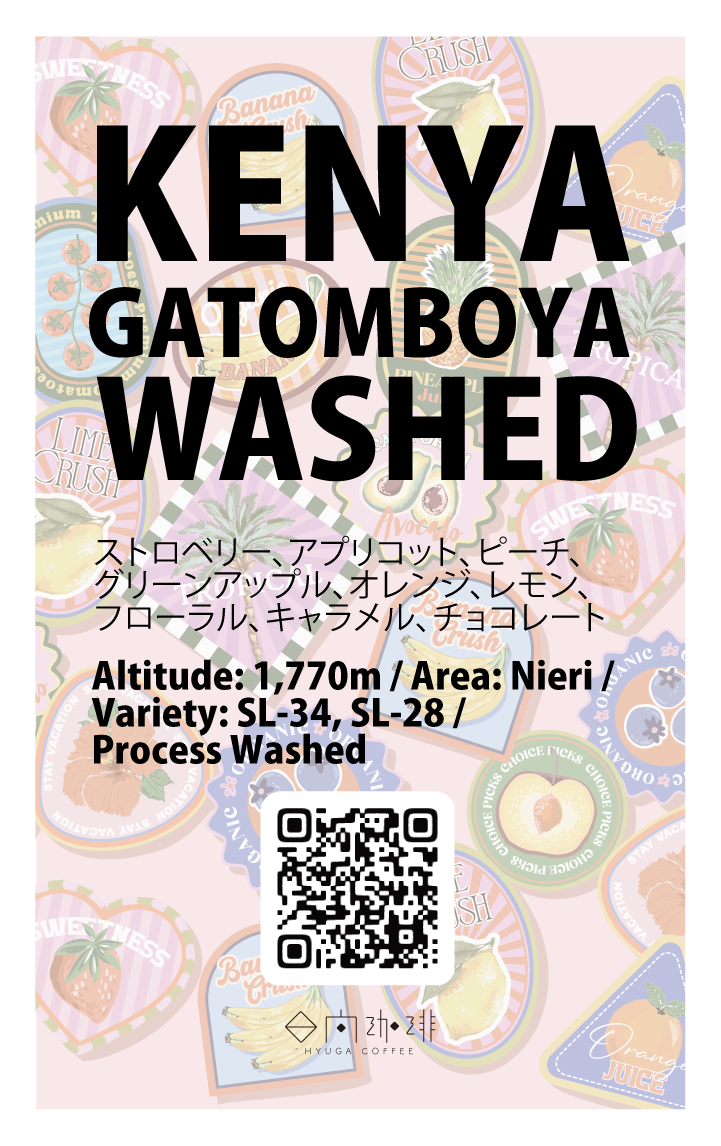 【浅煎り】ケニア ガトンボヤ・ファクトリー ウォッシュド / Kenya Gatomboya washed (100g)
