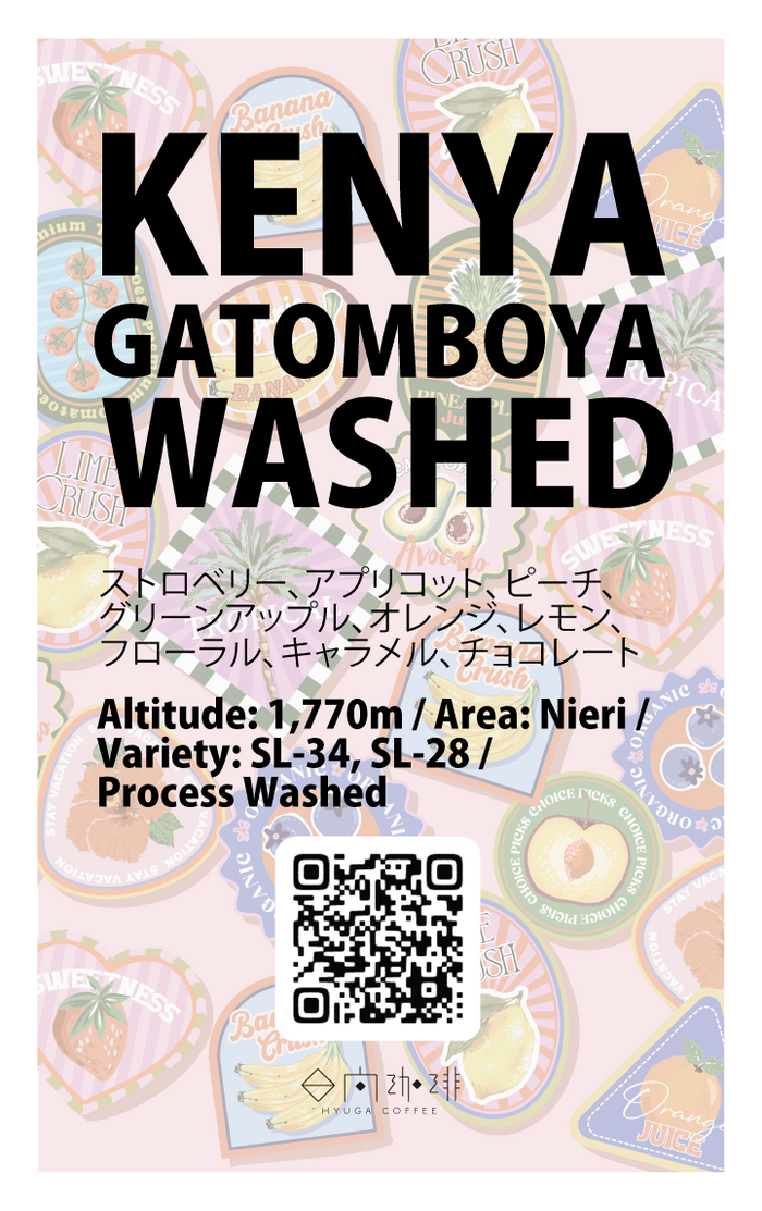 浅煎り】ケニア ガトンボヤ・ファクトリー ウォッシュド / Kenya