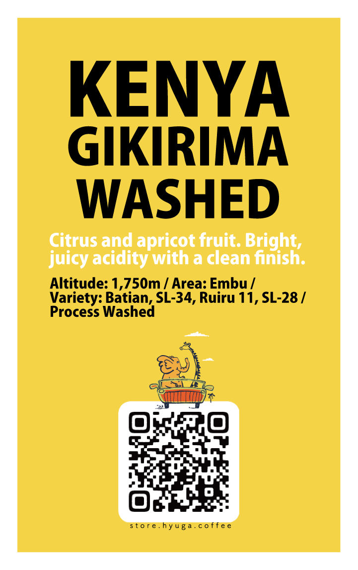 【浅煎り】ケニア ギキリマ ウォッシュド  /  Kenya Gikirima washed（100g）