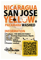 【浅煎り】ニカラグア サンホセ イエローパカマラ ウォッシュド /  NICARAGUA  SAN JOSE YELLOW PACAMARA WASHED (100g)