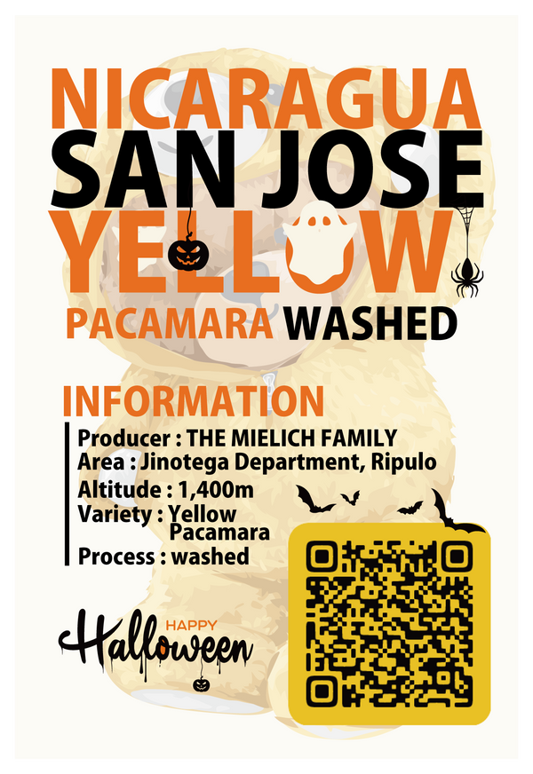 【浅煎り】ニカラグア サンホセ イエローパカマラ ウォッシュド /  NICARAGUA  SAN JOSE YELLOW PACAMARA WASHED (100g)