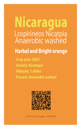 【浅煎り】ロスピリネオス ニカトピア アナエロビックウォッシュド / Nicaragua Los Pirineos Nicatopia anaerobic washed（100g）