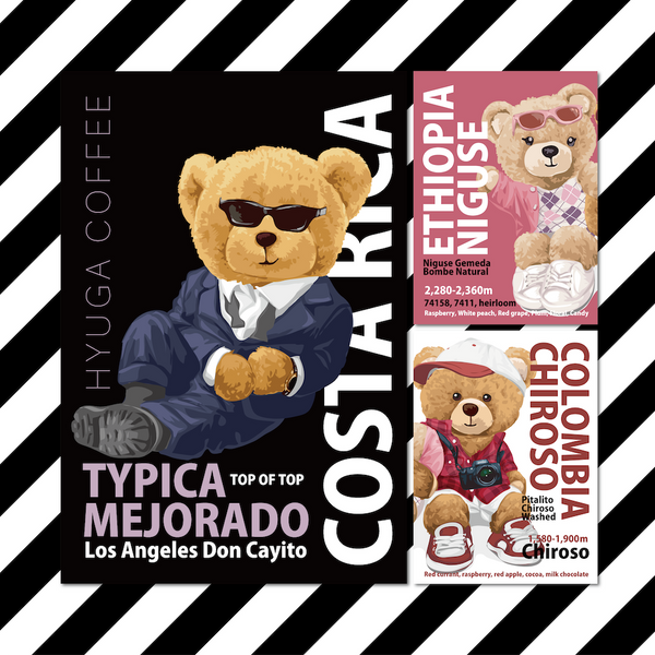 【定期便】HYUGA COFFEE BOX（100g×3種類 / 送料無料）| サブスクリプション