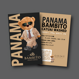 【浅煎り】Panama Bambito Estate Catuai Washed / パナマ バンビート エステート カトゥアイ ウォッシュド(100g)