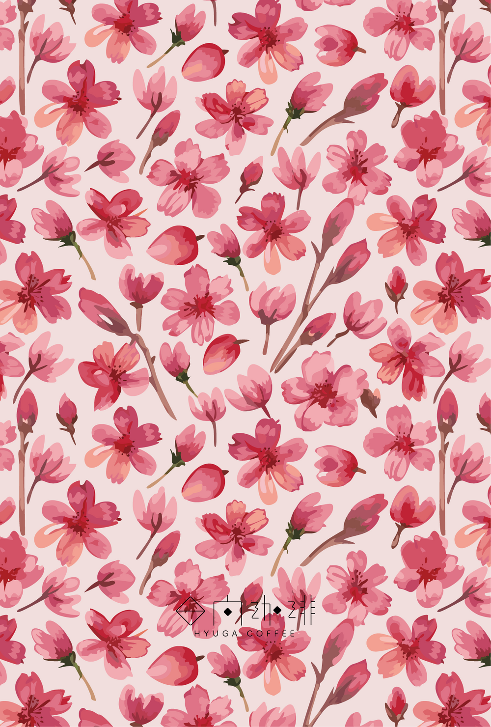 【浅煎り】Panama Hacienda Barbara Catuai Anaerobic Natural (100g)